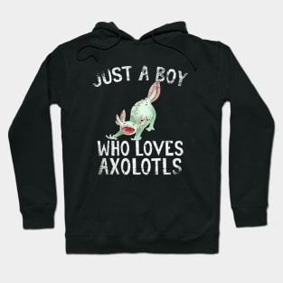 Just A Boy Who Loves Axolotls Hoodie